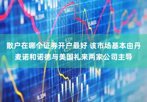 散户在哪个证券开户最好 该市场基本由丹麦诺和诺德与美国礼来两家公司主导